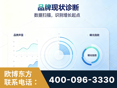 益阳-品牌现状诊断
