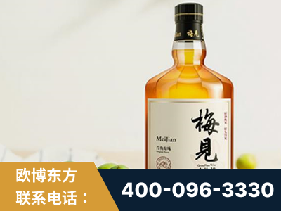 益阳-梅见青梅酒